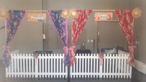 festas juninas