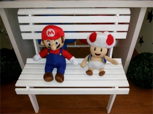 super mario9481 20
