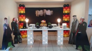 IMG 20160409 131608364 