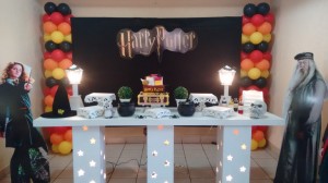 IMG 20160409 131634716 