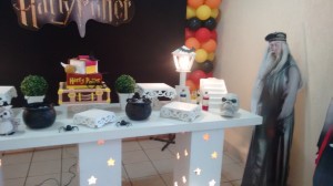 IMG 20160409 131641101 