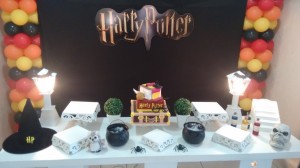 IMG 20160409 131719787 